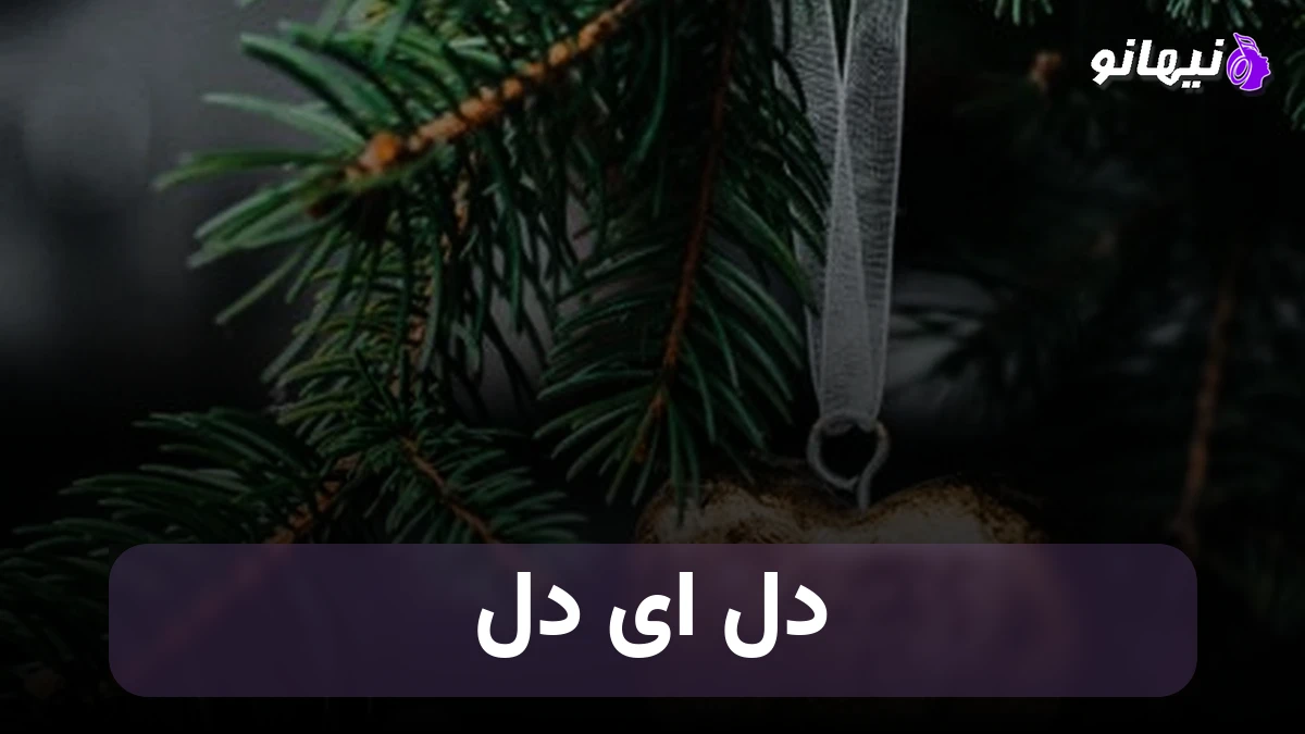 دانلود آهنگ  دل ای دل ;دیدی گرفتار شدی عاشق یک نگاه عزیز دلدار شدی  
